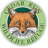 Yoga at the Refuge - logo
